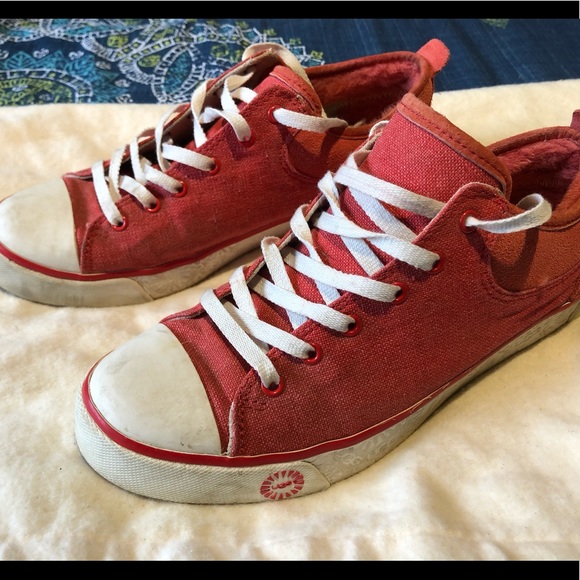 UGG Shoes - Uggs Evera converse style sneakers